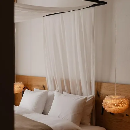 Stary Niedzwiedz B&B 4*