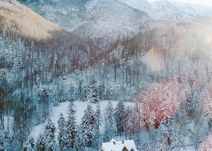 Stary Niedźwiedź 4*